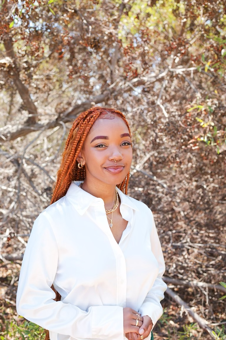 Portfolio Details IPortfolio Bootstrap Template portfolio-details-iportfolio-bootstrap-template